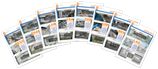 8 Airport series